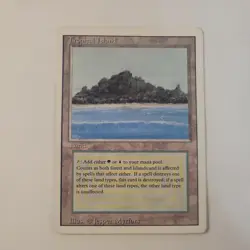 MTG - Tropical Island - Revised Edition (3ED) - Heavily Played - Image 1