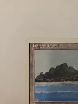 MTG - Tropical Island - Revised Edition (3ED) - Heavily Played - Image 3