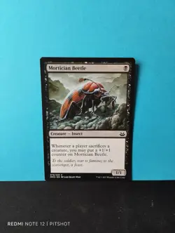 Mortician Beetle / Schwarzfuhleriger Totengraber - MTG Magic - Image 1