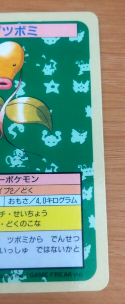 Pokemon Card Japanese Top sun Bellsprout 1995 vintage from Japan - Image 2