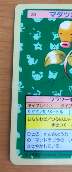 Pokemon Card Japanese Top sun Bellsprout 1995 vintage from Japan - Image 3