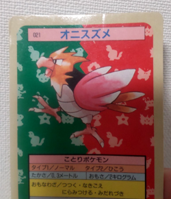 Pokemon Card Japanese Top sun Spearow 1995 vintage from Japan - Image 5
