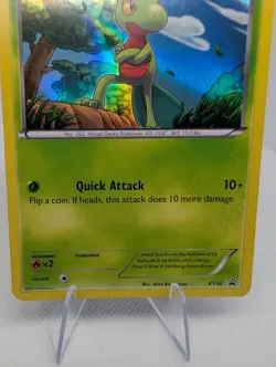 Treecko XY36 Black Star Promo Holo Rare Pokemon TCG Card - LP - Image 3