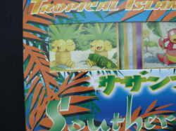 NEW SEALED JAPANESE POKEMON 1998 SOUTHERN ISLANDS TROPICAL ISLAND BEACH CARD SET - Image 2