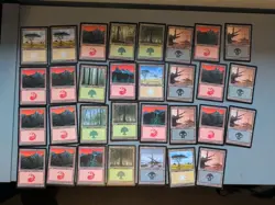 MTG 31 Portal Basic Land Card Mix As Shown Old Vintage,Mountain,Forest,Swamp - Image 1