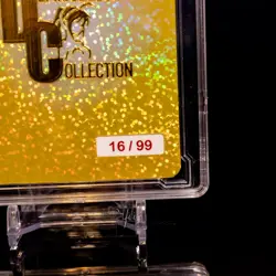 Tifa Lockhart Waifu Card Encased #16/99 Gold Demigoddess Collection SLAB FF7 - Image 4