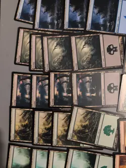 MTG 80 Time Spiral Basic Land Card Lot.All Full Playsets As Shown. - Image 4