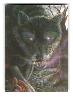 1994 Ed Beard Jr. Flights of Fantasy Trading Card Horror #25 Wolf - Image 1