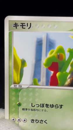 (LP) Treecko 037/PCG-P Yokohama Pokemon Center Promo Japanese Pokemon card - Image 2
