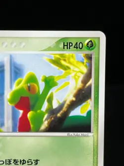 (LP) Treecko 037/PCG-P Yokohama Pokemon Center Promo Japanese Pokemon card - Image 5