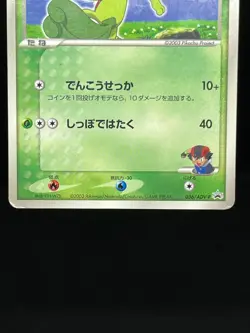 (MP/HP) Brock’s Mudkip Ash's Treecko 036 038/ADV-P Japanese Pokemon Card # - Image 5