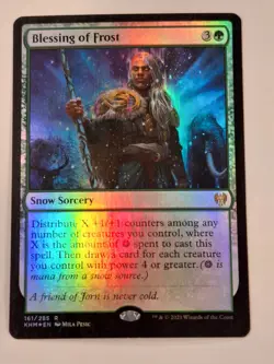 Blessing of Frost - FOIL - Kaldheim - Magic the Gathering MTG - Image 1