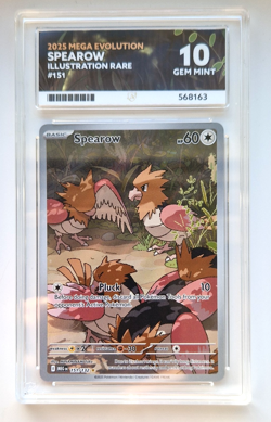 Spearow 151/132 Illustration Rare Mega Evolutions Pokemon Graded Card - ACE 10 - Image 1