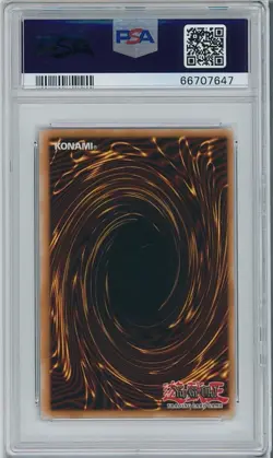 Yu-Gi-Oh! - Mago Negro - Dark Magician - LOB - 1st edition - Portuguese - PSA 9 - Image 2