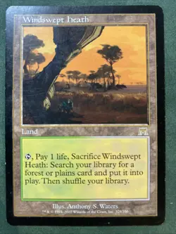 1x Windswept Heath - Onslaught - Very Light Play MTG - Image 1