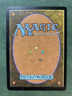 1x Windswept Heath - Onslaught - Very Light Play MTG - Image 2