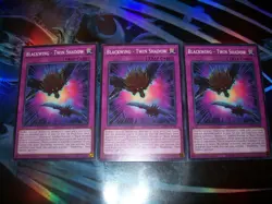3x Blackwing - Twin Shadow 1st Edition Common L5DD-ENC26 Yu-Gi-Oh! - Image 1