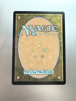 Bumi’s Feast Lecture - 133 - MTG Avatar: The Last Airbender - Uncommon - FOIL - Image 2