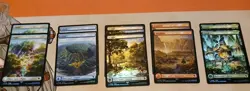 Final Fantasy FOIL Chocobo Track Lands Full Art 10 Card Lot MTG MINT 🔥 - Image 1