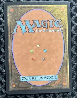 Mtg Forest Signed By Quinton Hoover 6th Edition - Image 3