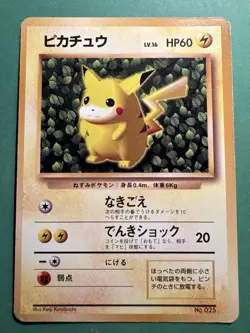 Ivy Pikachu How to Play NON-GLOSSY Promo No. 025 Japanese Pokemon Card LP - Image 1