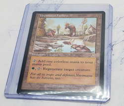 Magic the Gathering Yavimaya Hollow Card Urza's Destiny - Image 3