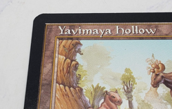 Magic the Gathering Yavimaya Hollow Card Urza's Destiny - Image 5