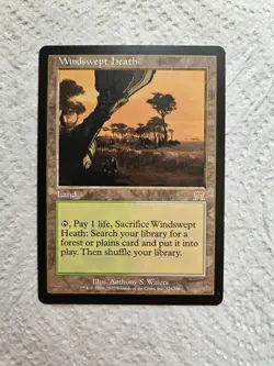MTG Windswept Heath Onslaught LP - Image 1