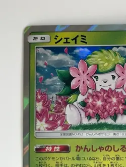Shaymin 225/SM-P 20th Anniversary Campaign Promo 2018 Japanese Pokemon Card - Image 2