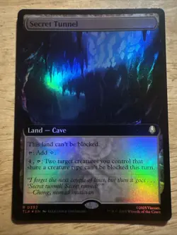 Secret Tunnel (Extended Art) #392 (Foil) (NM) TLA Magic MTG FOIL - Image 1