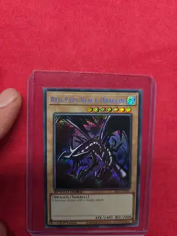 Yugioh! Red-Eyes Black Dragon - SBC1-ENF01 - Secret Rare - 1st Edition Near Mint - Image 2