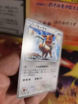 Pokemon Karte Card Eevee Evoli BW Promo Black Star Black White japanese NM- - Image 3