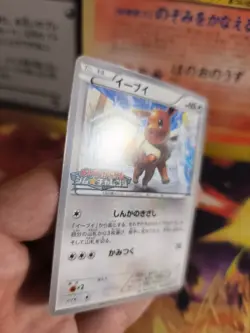Pokemon Karte Card Eevee Evoli BW Promo Black Star Black White japanese NM- - Image 4