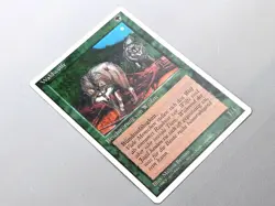 MTG - 3.ED. UNLIMITED (FWB/'95) - TIMBER WOLVES - WALDWOLFE / NEVER PLAYED / EX - Image 3