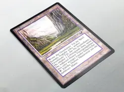 MTG - ALLIANCES (BB/'96) - GESCHUTZTES TAL - SHELTERED VALLEY /RARE/NEVER PL./NM - Image 3