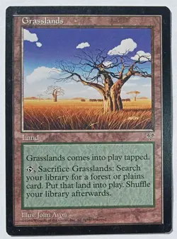 Magic MTG - Grasslands - Mirage - LP - Image 1