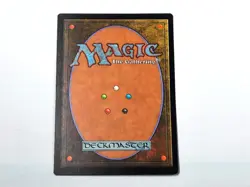 MTG - VISIONS (BB/'96) - PILLAR TOMBS OF AKU - D.SAULENGRABER V.AKU/RARE/N.P./NM - Image 2