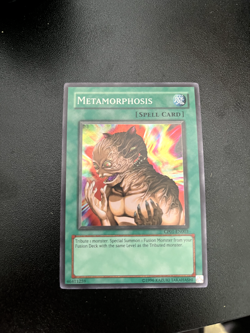 Metamorphosis CP01-EN003 Champion Pack 1 Unlimited - Image 1