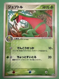 Japanese - Promo - Grovyle - 081/PCG-P - 2005 - Pokemon Card - McDonald's - - Image 1