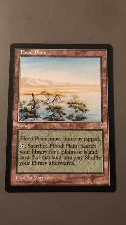 MTG: Magic the Gathering - Mirage Expansion: FLOOD PLAIN - Image 1