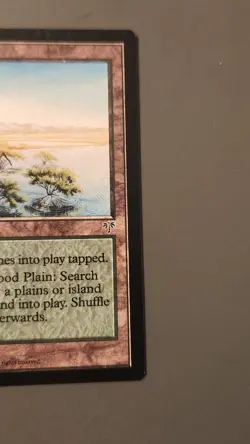 MTG: Magic the Gathering - Mirage Expansion: FLOOD PLAIN - Image 2