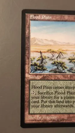 MTG: Magic the Gathering - Mirage Expansion: FLOOD PLAIN - Image 3