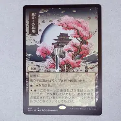 SLD Windbrisk Heights (436) Secret Lair Drop NonFoil MTG NM - Image 1