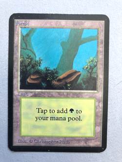 Mtg Carte Magic Alpha Forest English V.1 HP (A) - Image 1