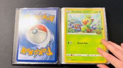 Pokemon TCG 25th Anniversary Jumbo Card Lot (23 Cards) + First Partner Collector - Image 2