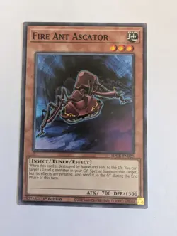 Fire Ant Ascator - SDCK-EN020 - Common 1st Edition - Near Mint YuGiOh - Image 1