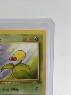 Bellsprout 49/64 Jungle 1st Edition WOTC Pokemon Card NM - Image 4
