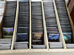 MTG *500 Foil Basic Land Lot (100 Of Each Type)* (NM- LP) Free Shipping - Image 4