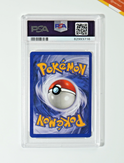 Pokemon PSA 8 Gyarados #6 Holo 1st Edition Set Base 2000 Italiano - Image 2