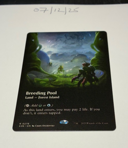 Magic the Gathering MTG Breeding Pool x1 Rare Borderless Card NM/M Eternities - Image 1
